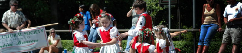 Cultural Society Dancers